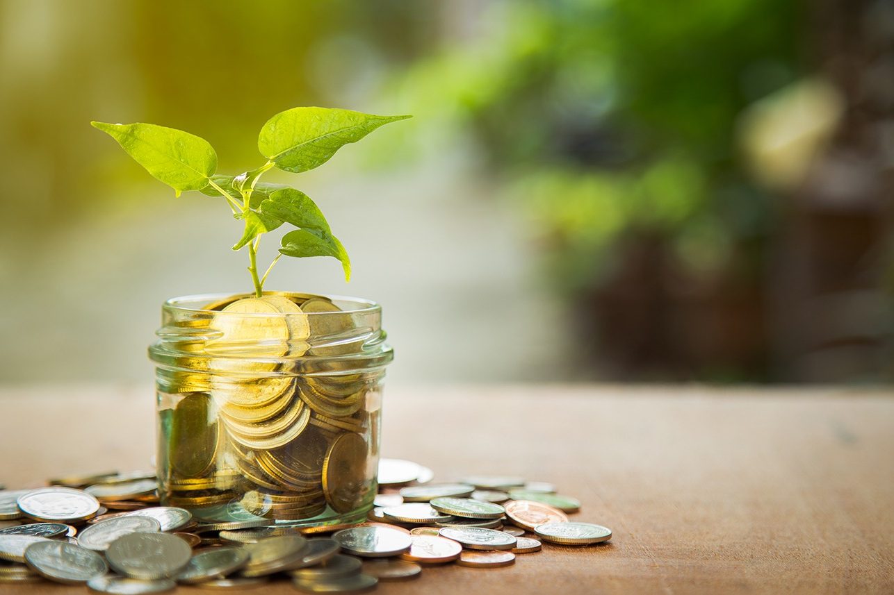 PLEXUSGLOBAL–06-25-19-WEB