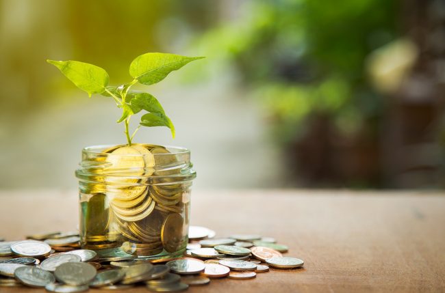 PLEXUSGLOBAL–06-25-19-WEB